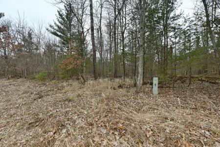 Lot 2 Long Lake Road