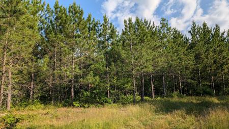 Lot C Hwy. 24