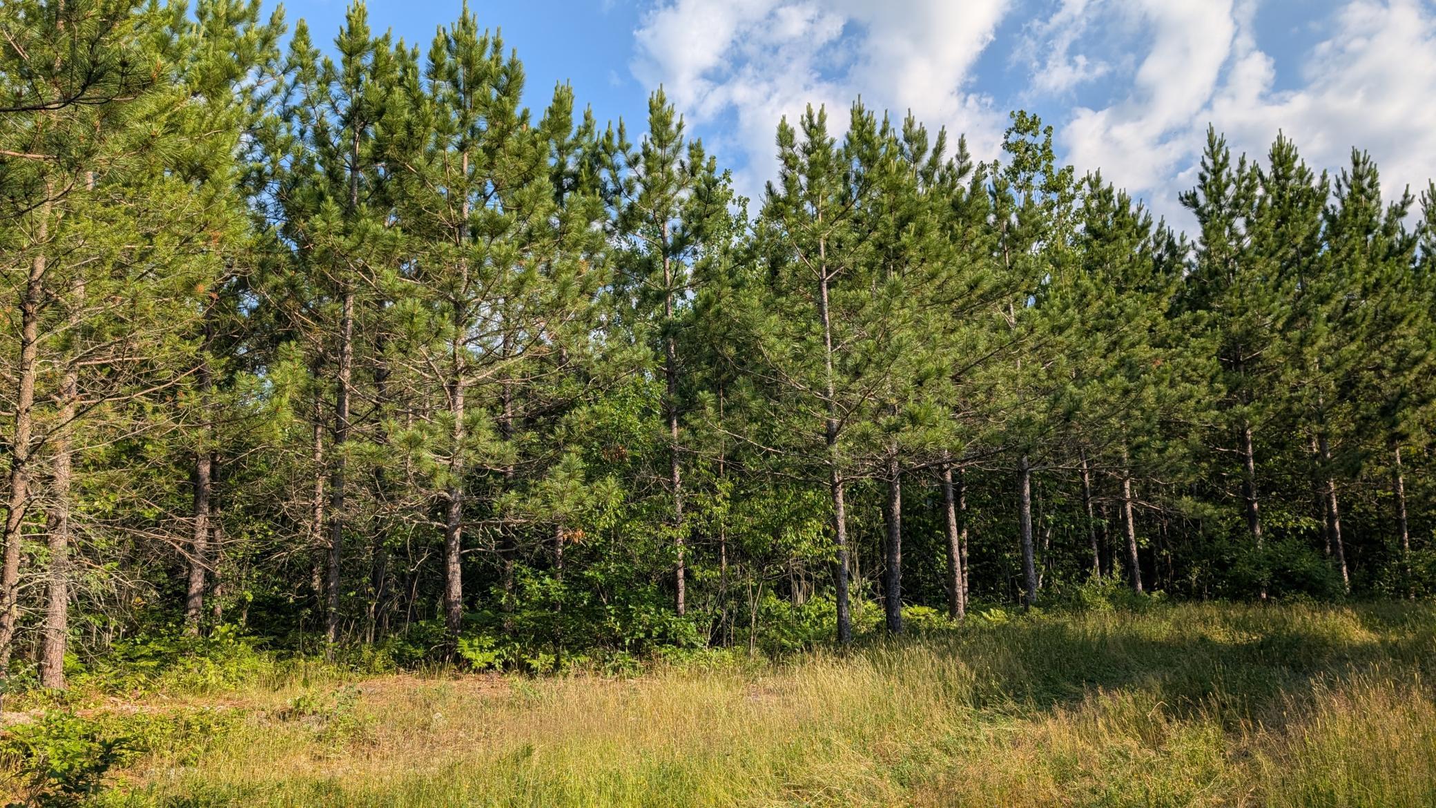 Image 1 Image 1