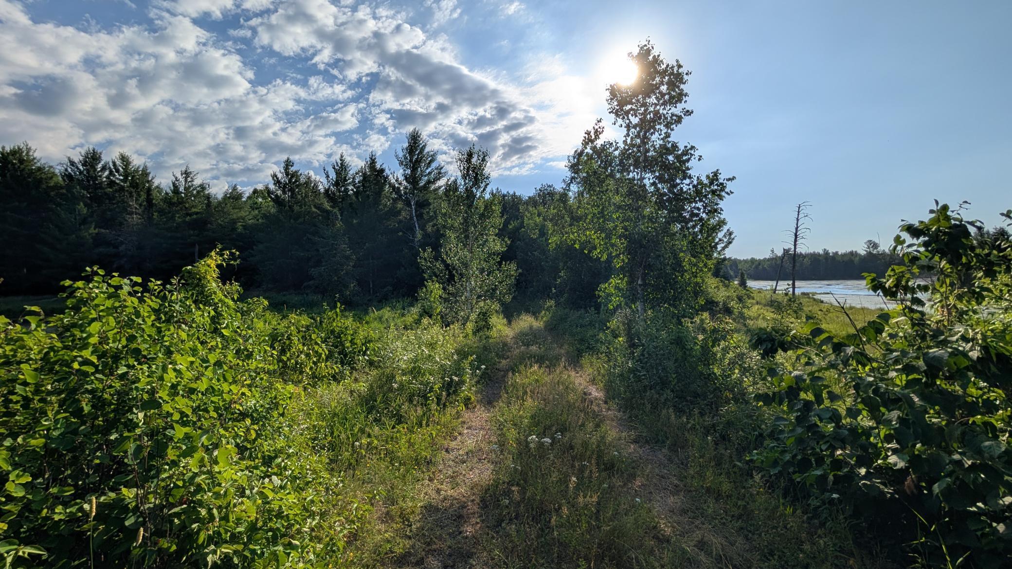 Image 3 Image 3
