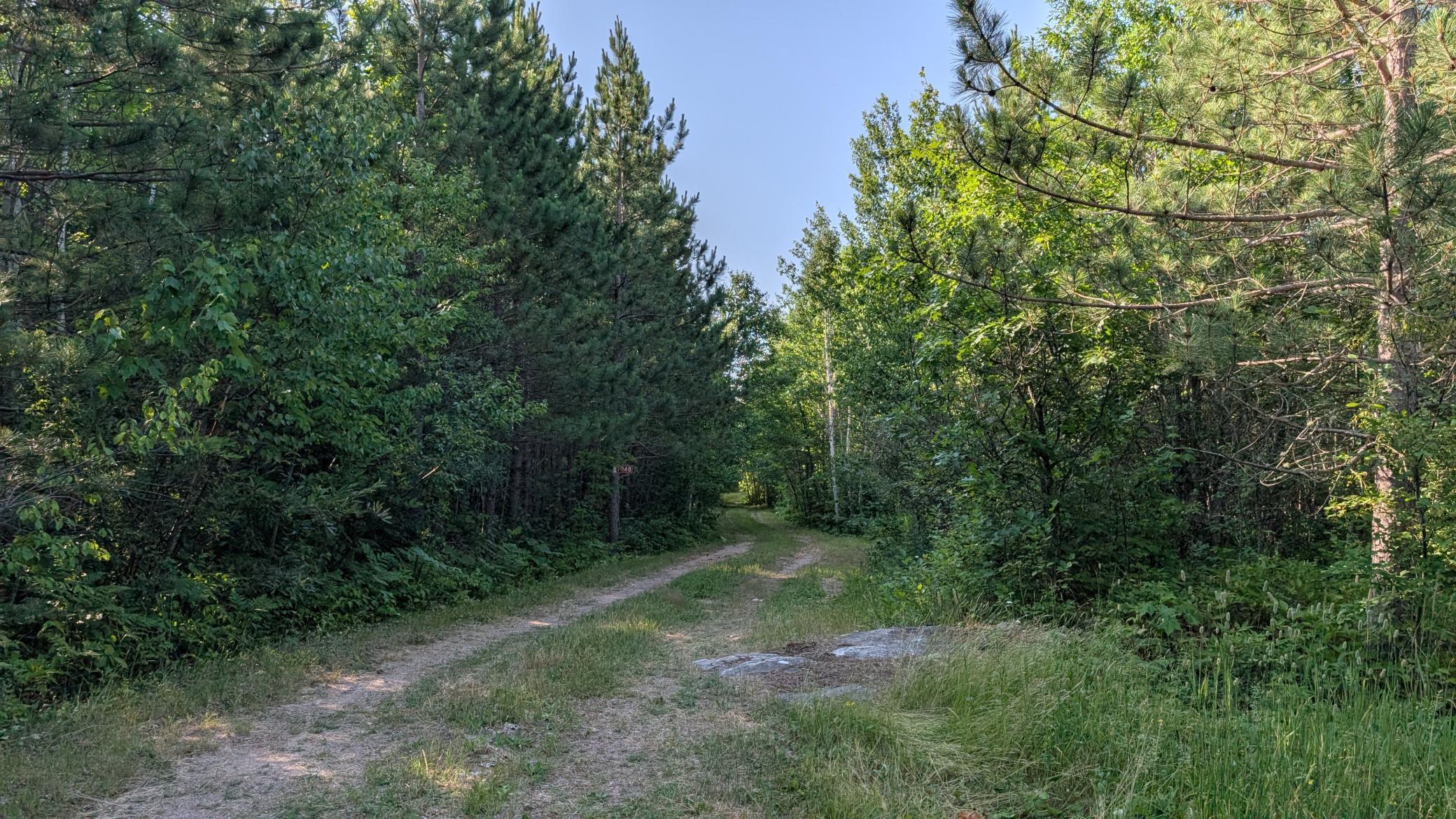 Image 4 Image 4