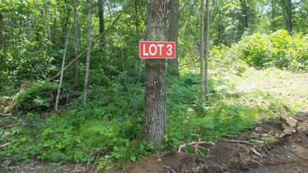 Lot 3 Birch Tree Trl