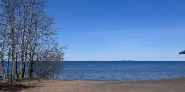 Image 4 Image 4