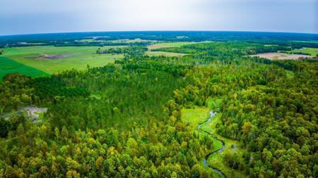 Lot 2 N Blackduck Lake Road NE