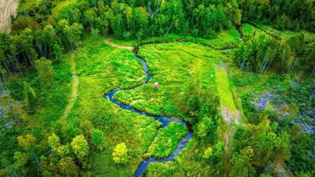 Lot 3 N Blackduck Lake Road NE