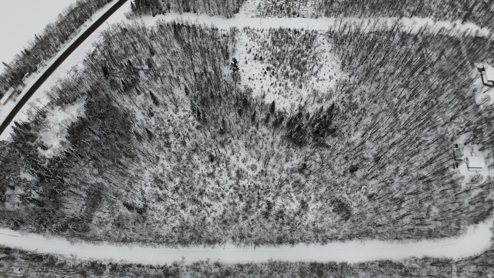 Image 4 Image 4