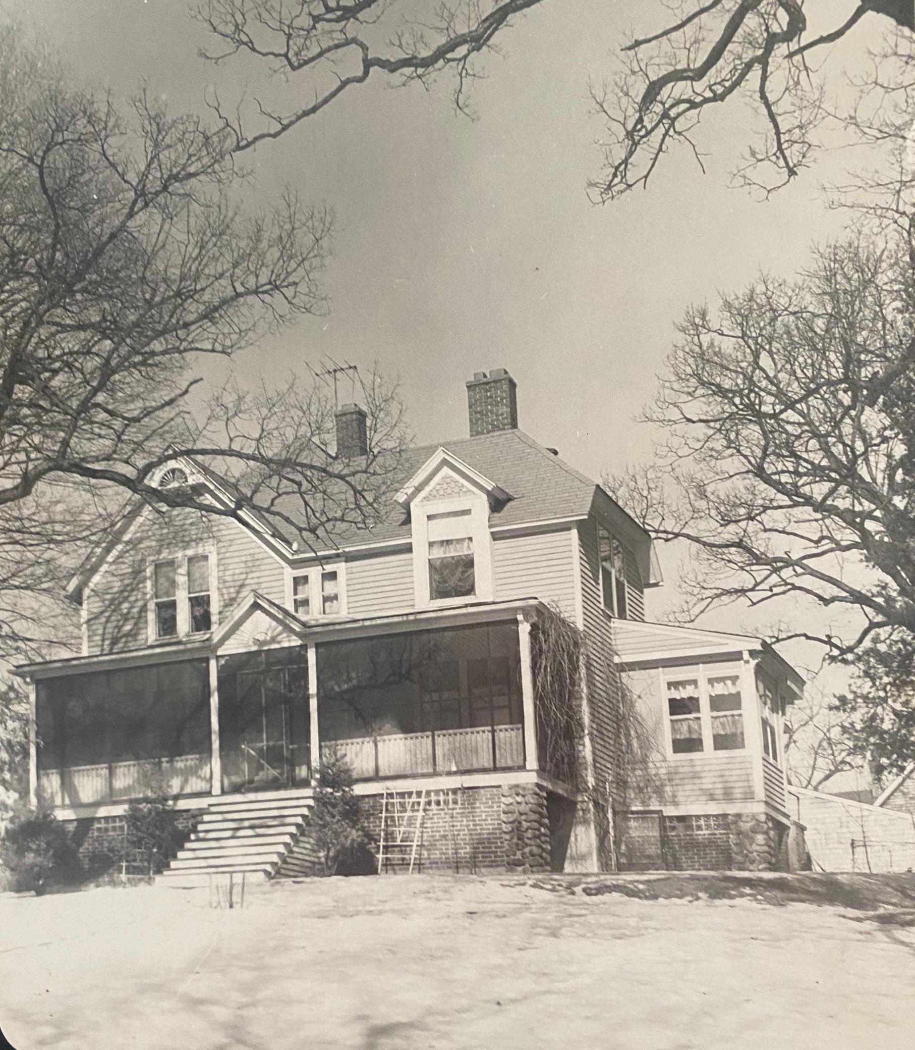 Image 2