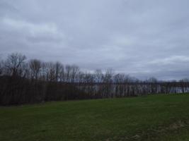 Lot 1 96th