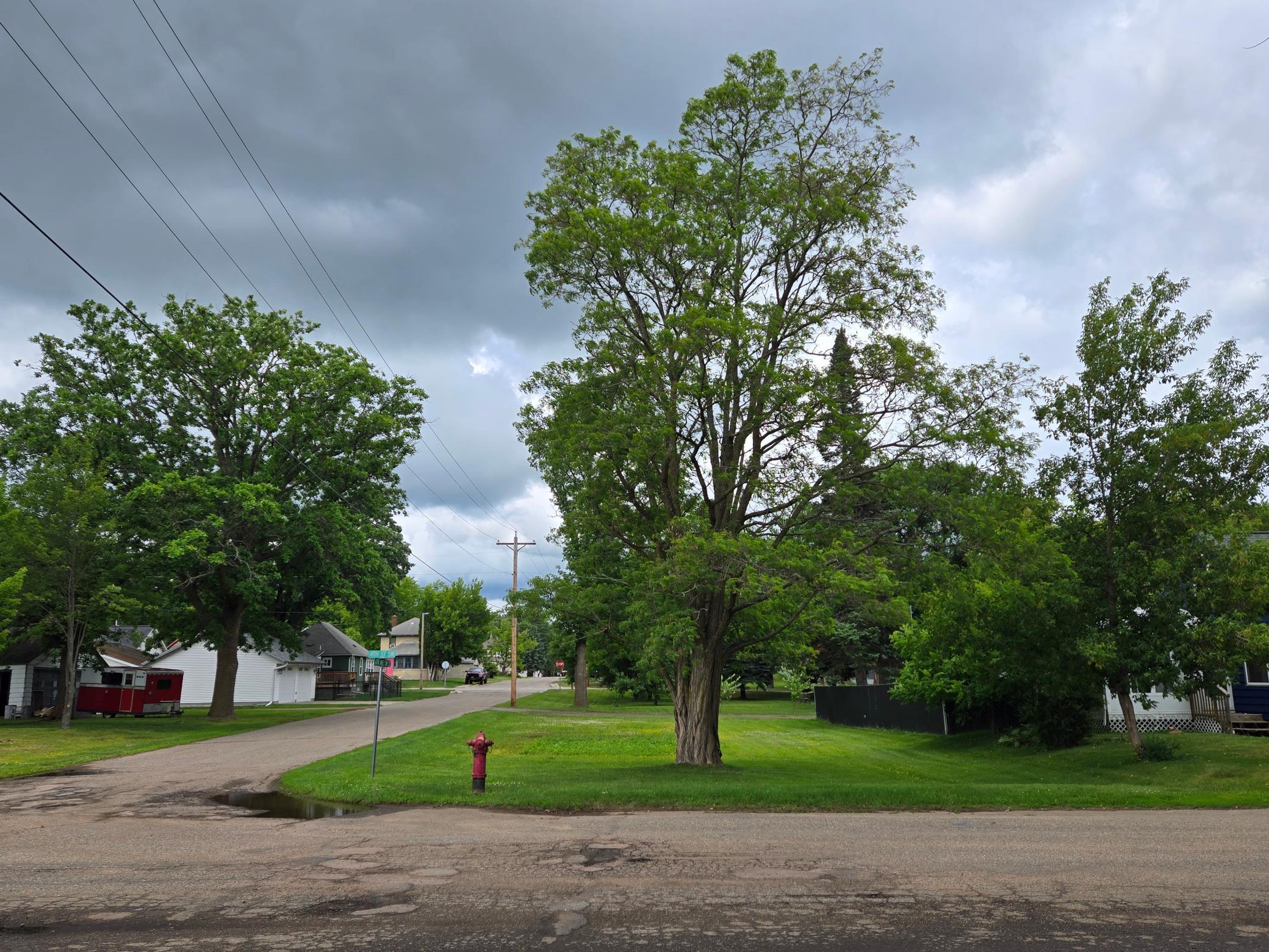 Image 1 Image 1