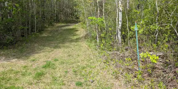 Image 4 Image 4