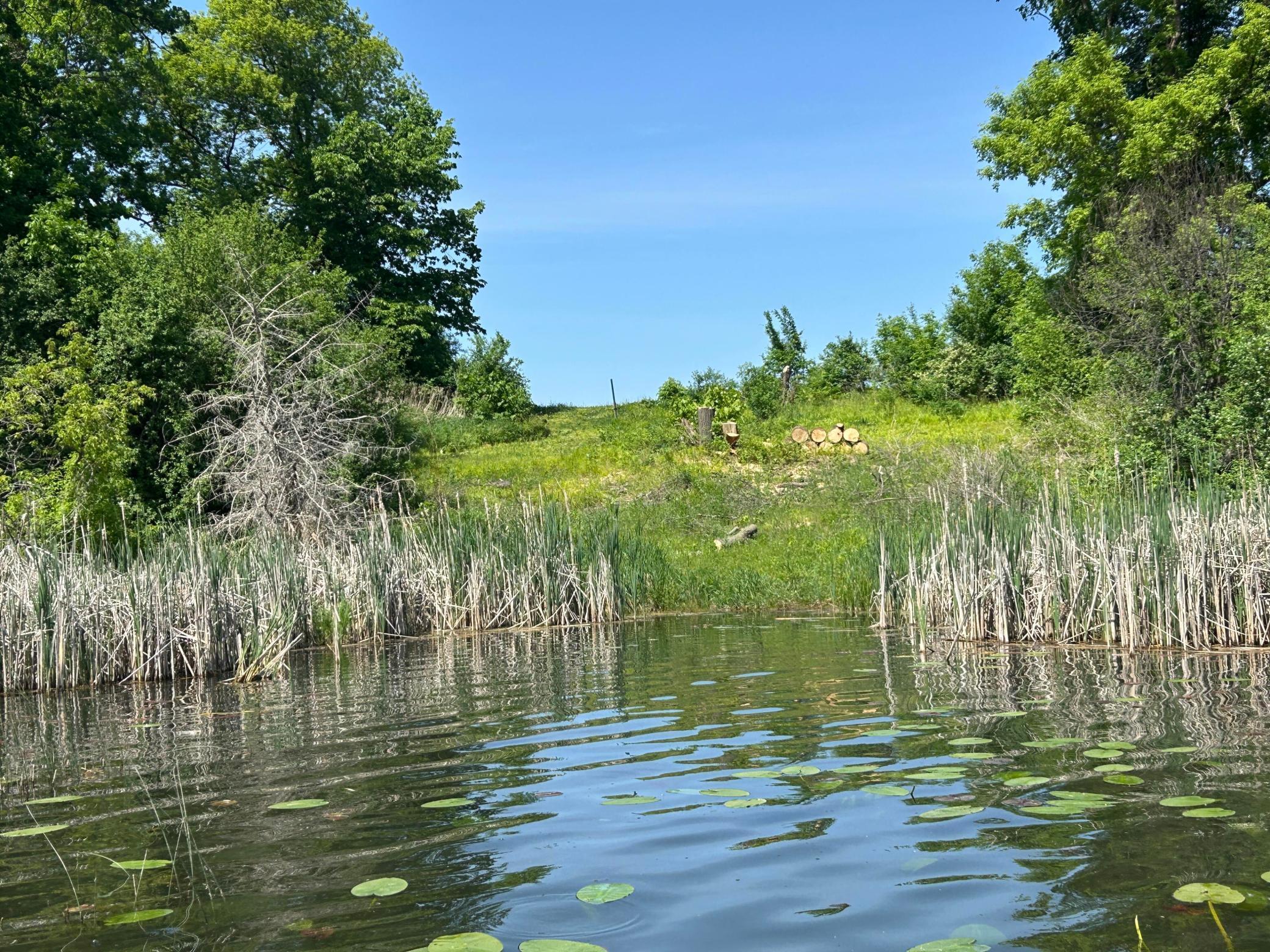 Image 1 Image 1