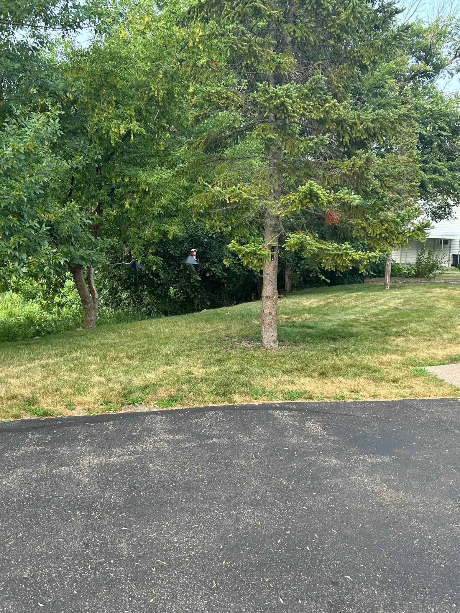 Image 3 Image 3
