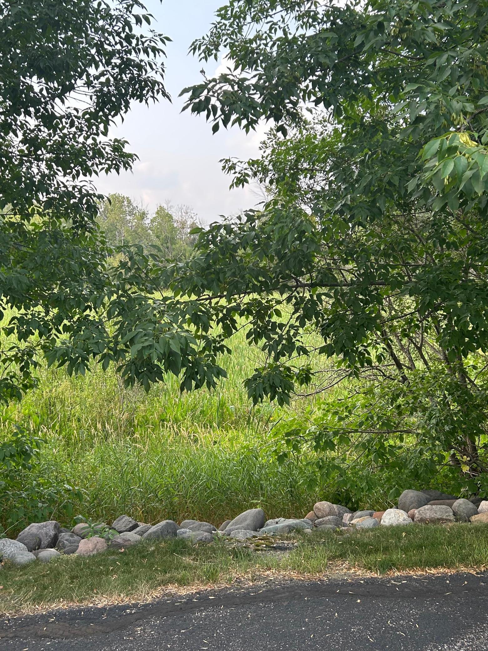 Image 4 Image 4
