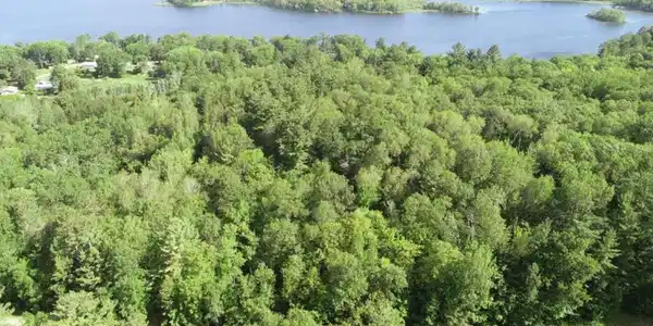 TBD Lot B 389th Ave Avenue