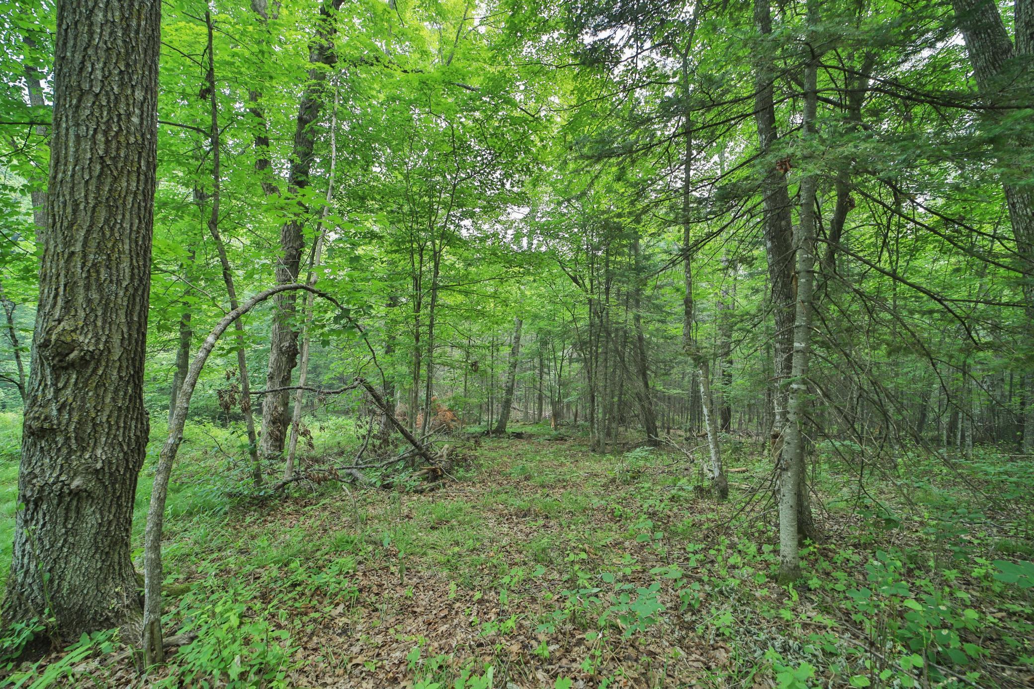 Image 3 Image 3