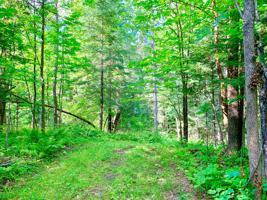Tract F UT Road 140