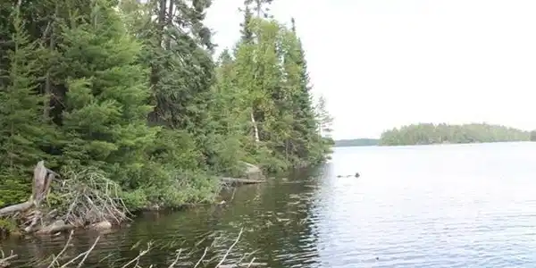 TBD Elbow Lake