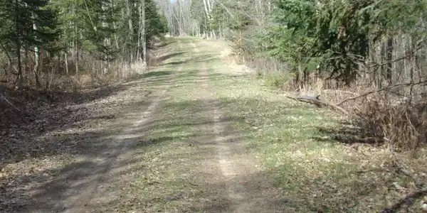 TBD Goshawk Street