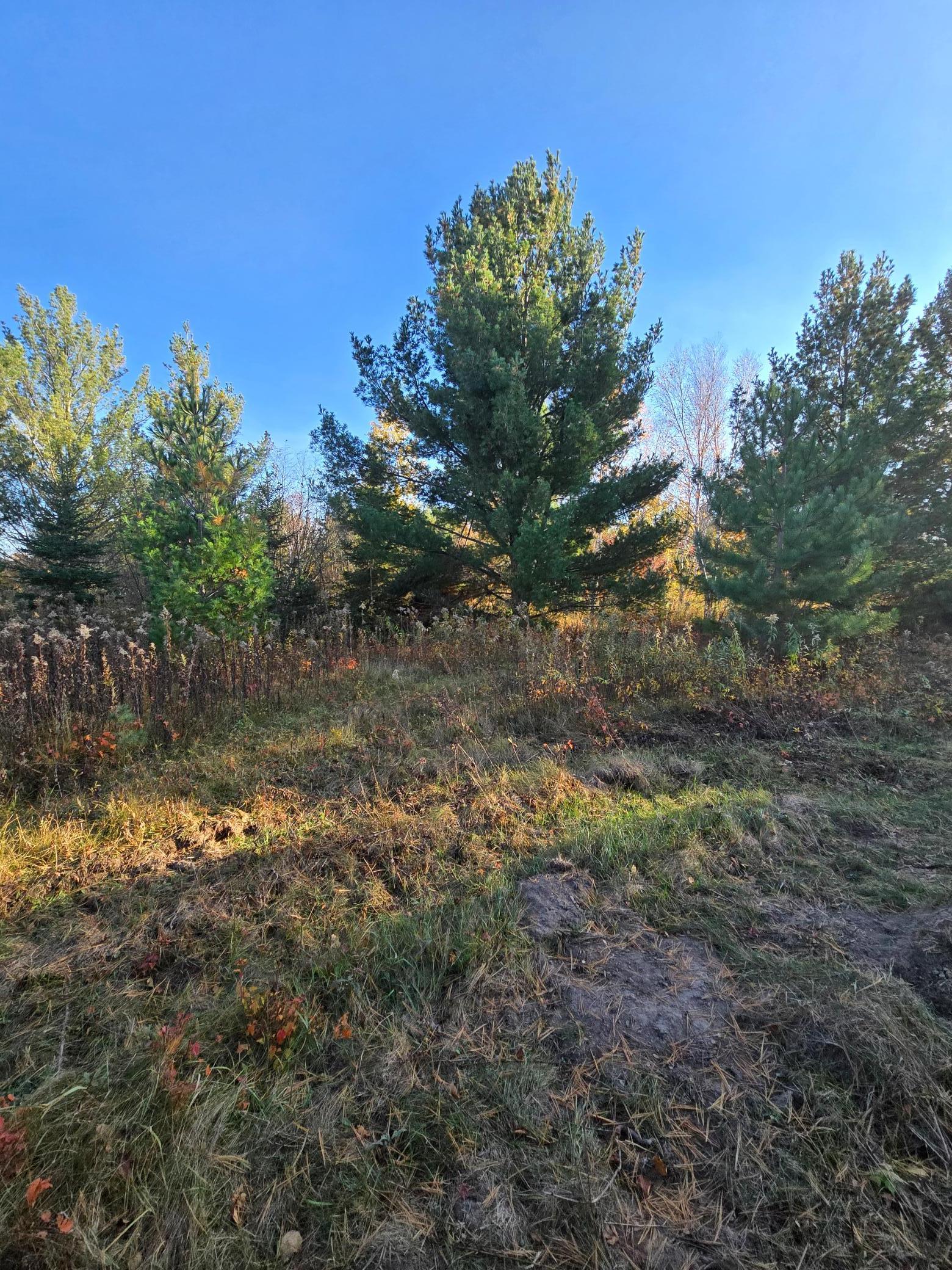 Image 2 Image 2