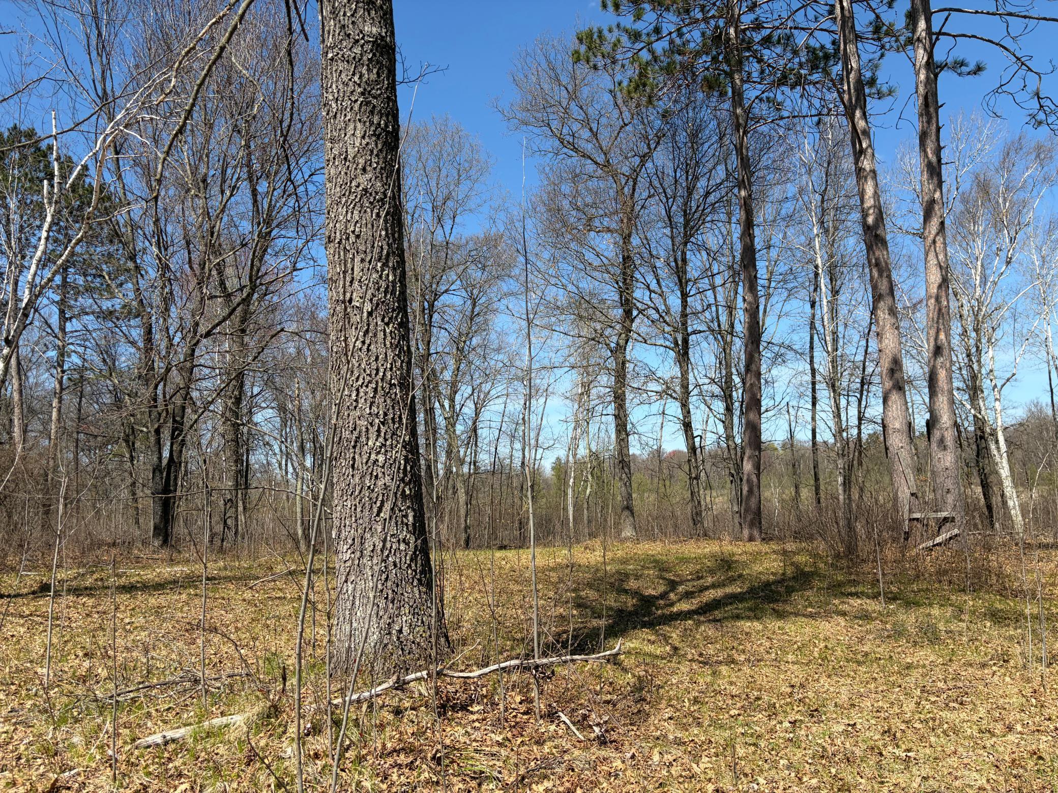 Image 2 Image 2