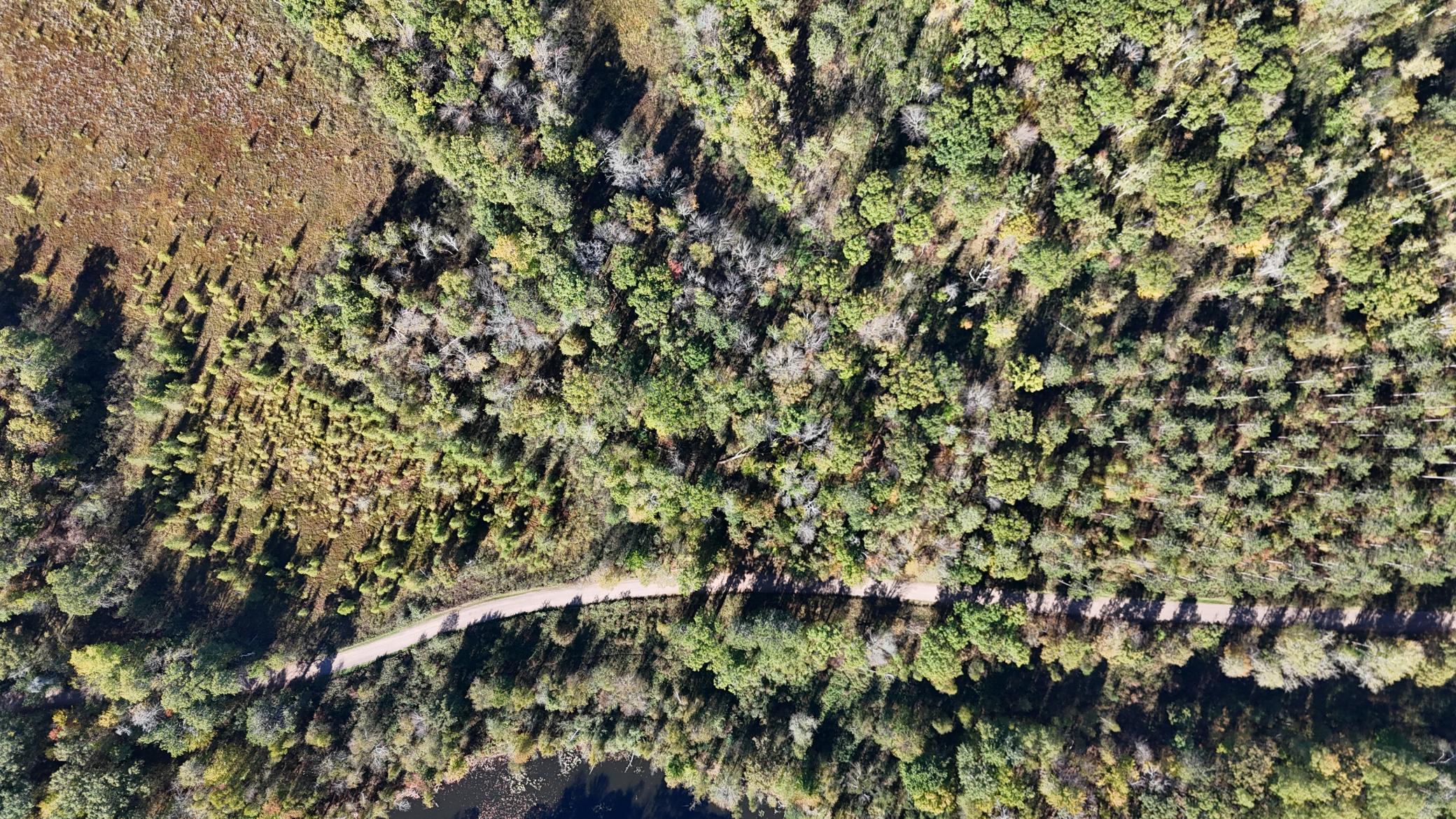 Image 4 Image 4