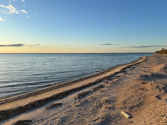 Image 4 Image 4