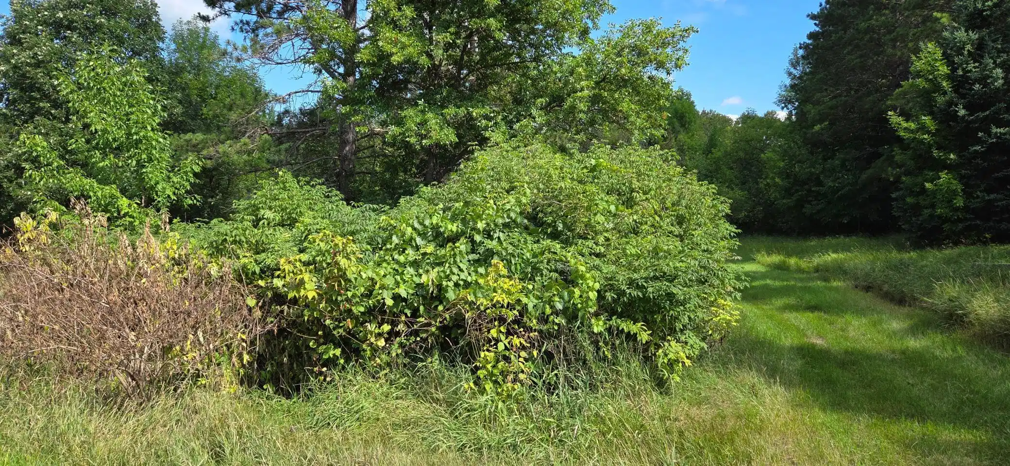 Image 1 Image 1