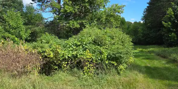 TBD Lot #3 Town Road 207
