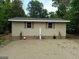 42219 Sugar Maple