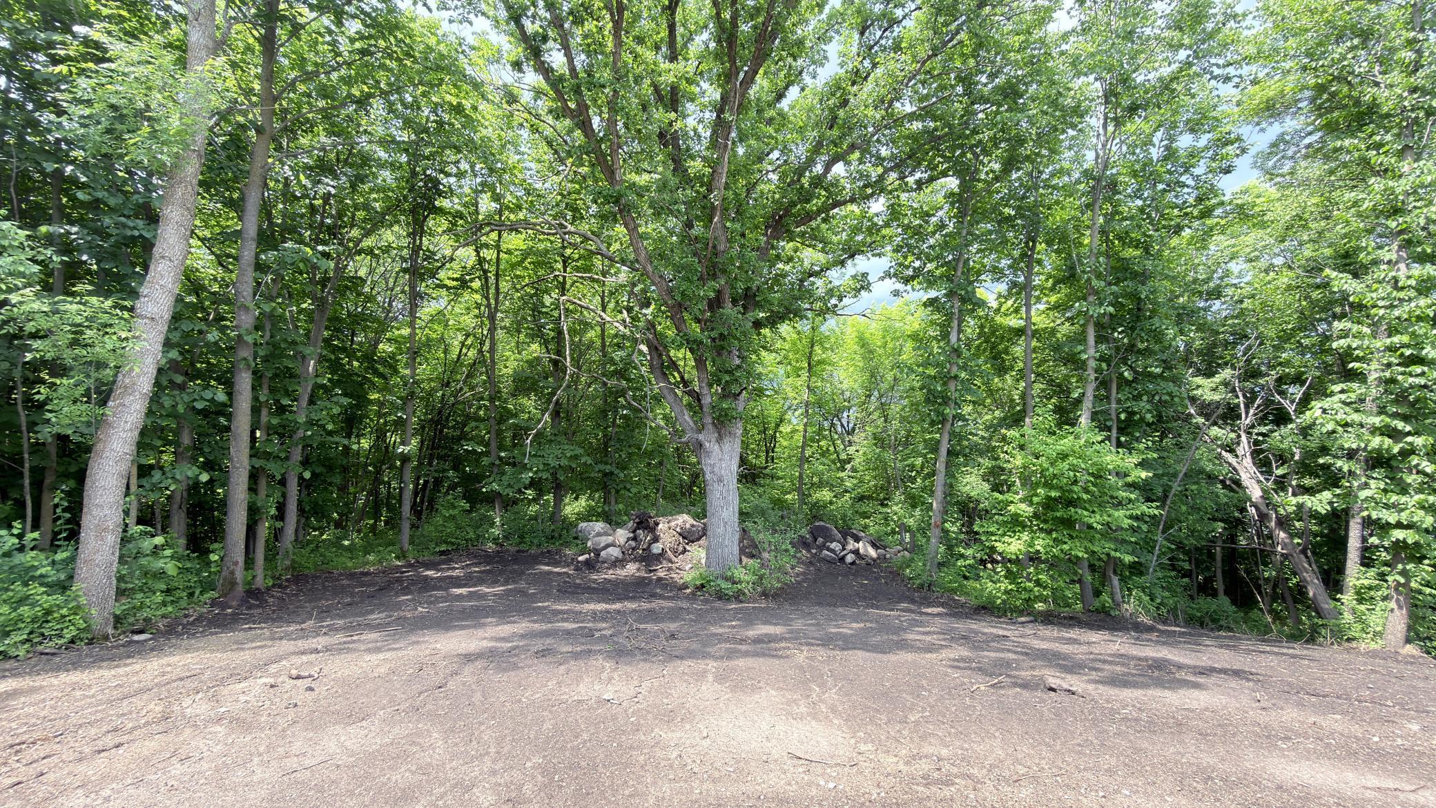 Image 4 Image 4