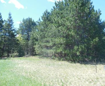 TBD Red Sequia Drive N