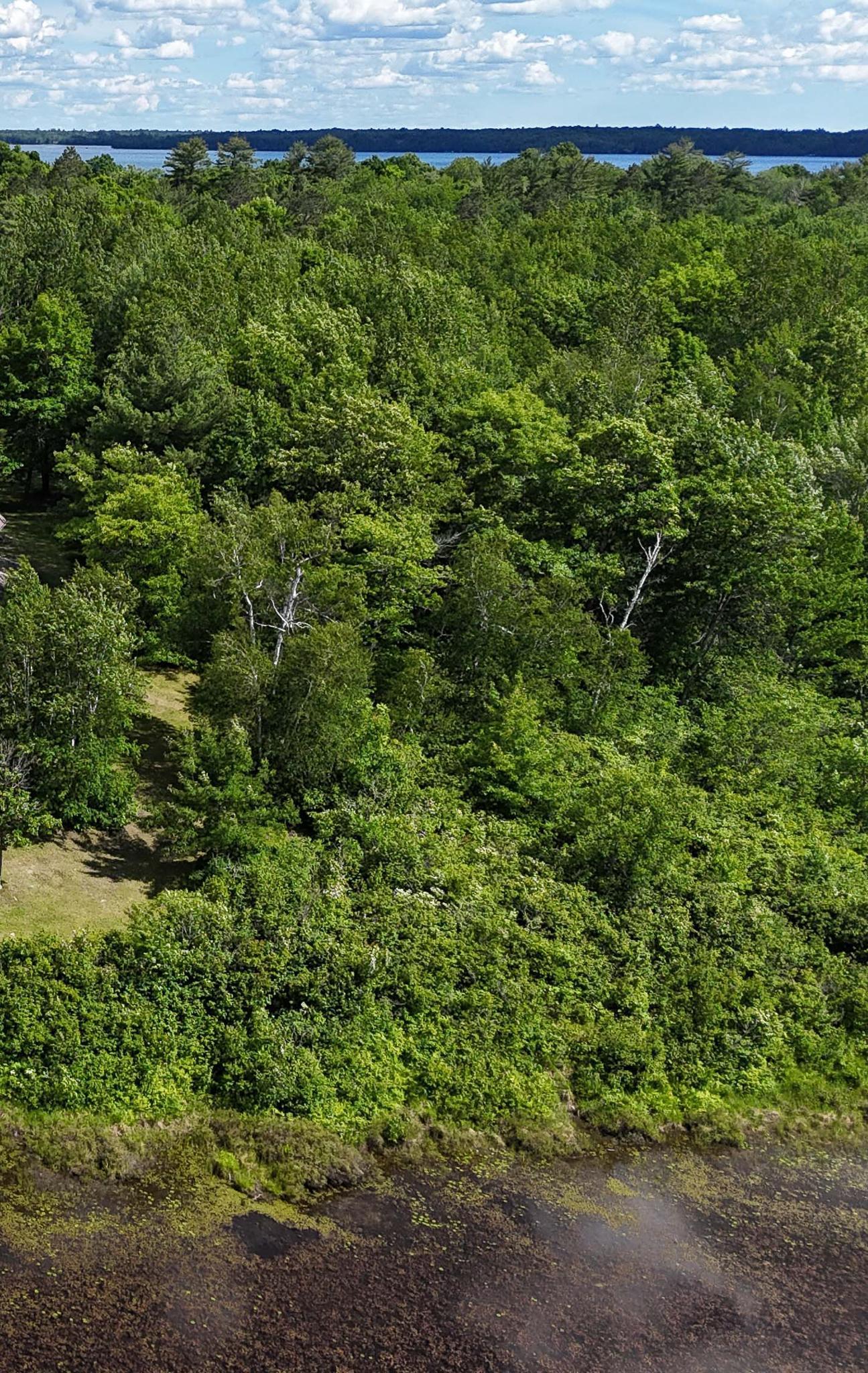 Image 3 Image 3