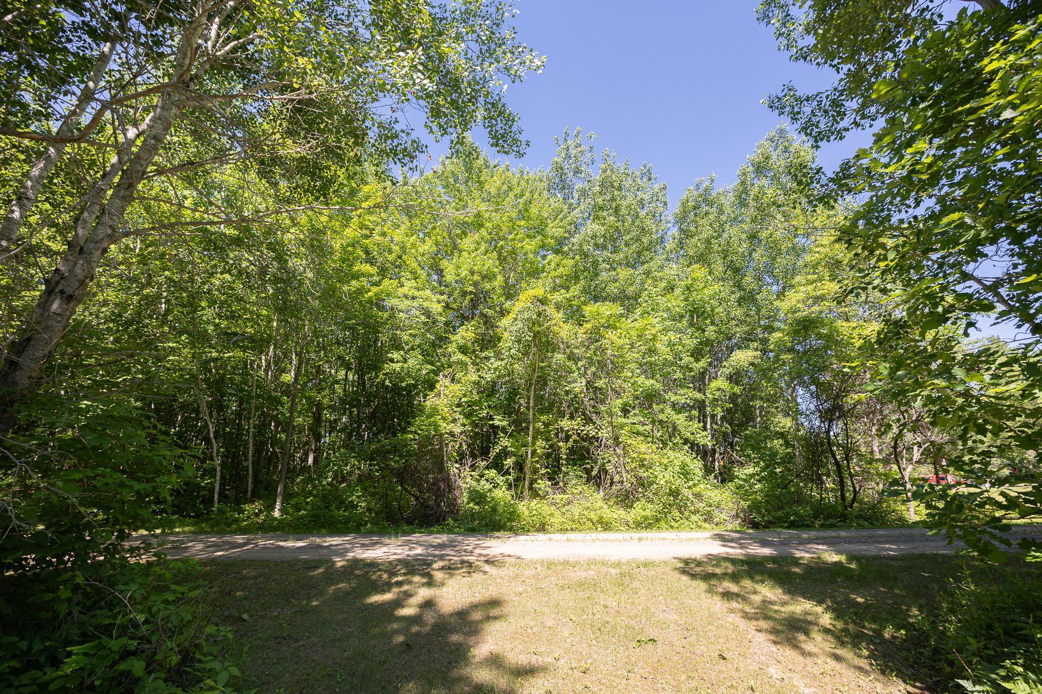 Image 4 Image 4