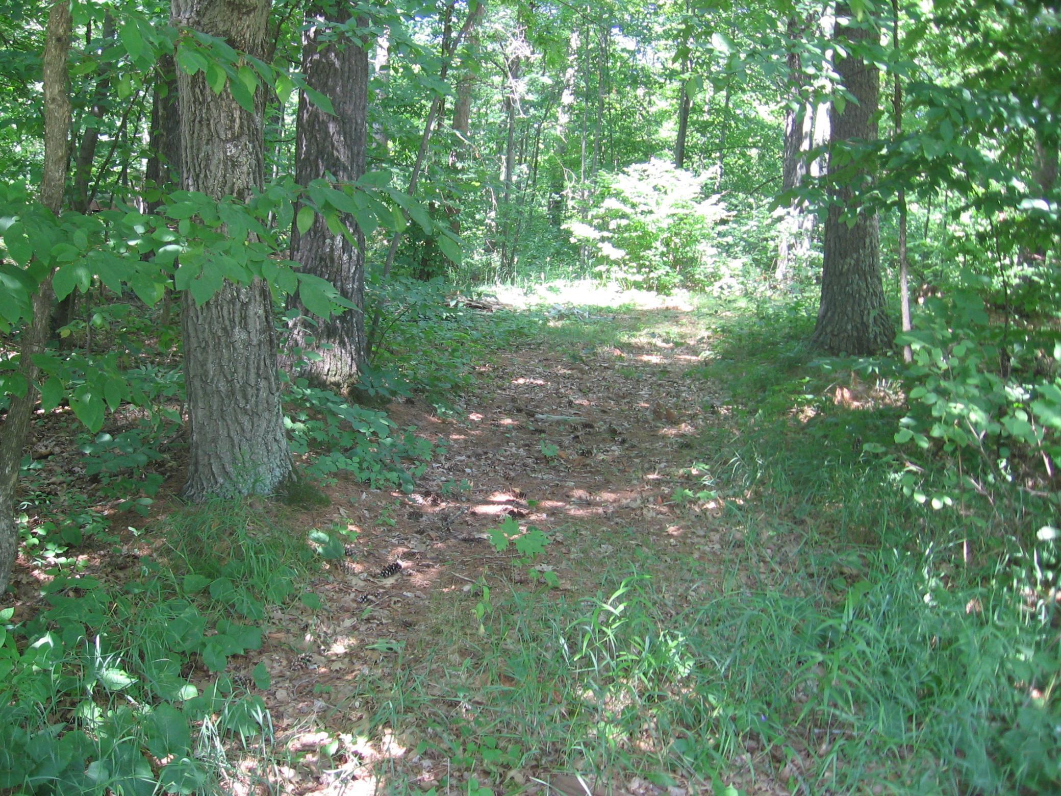 Image 2 Image 2