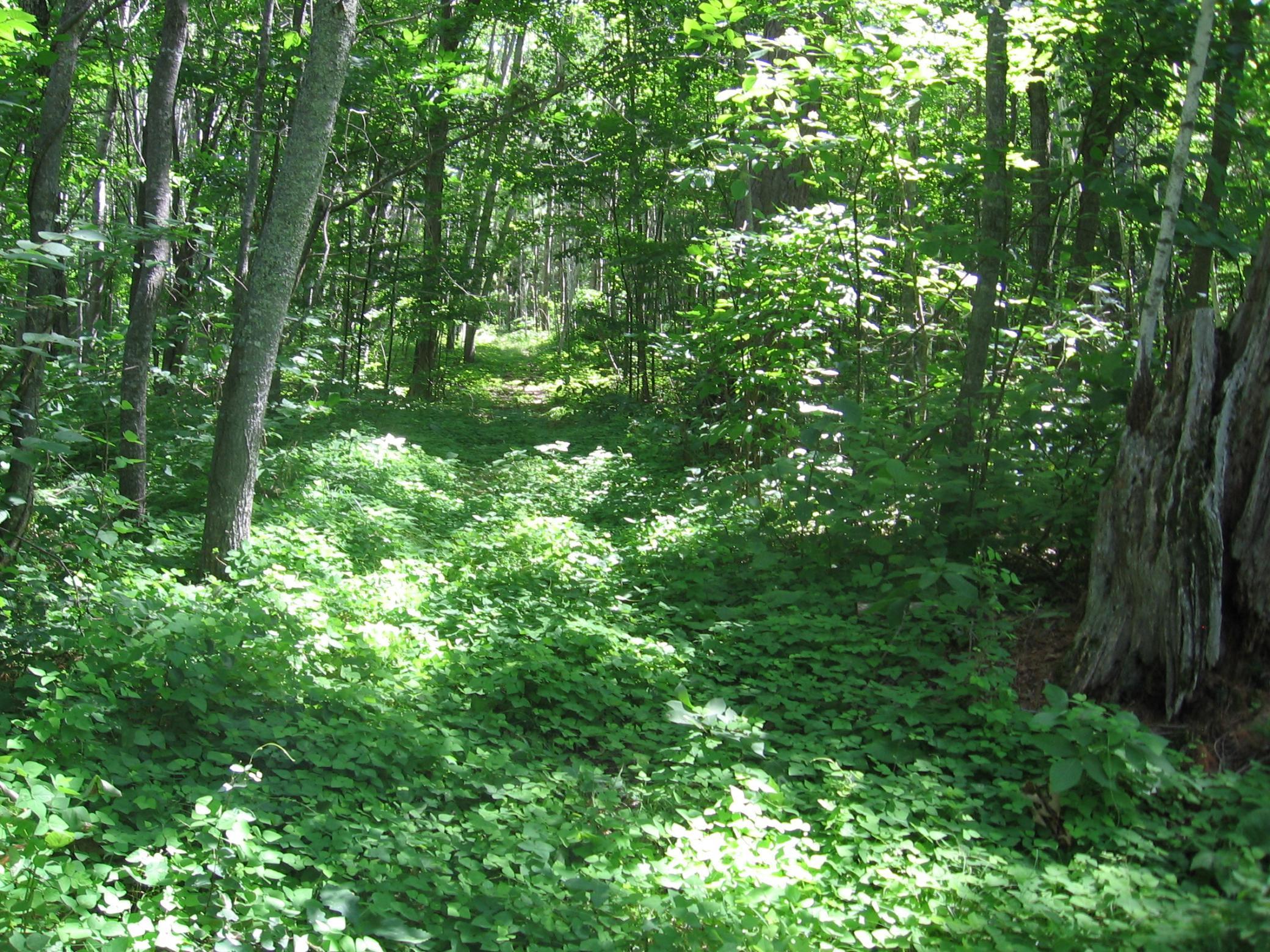 Image 4 Image 4