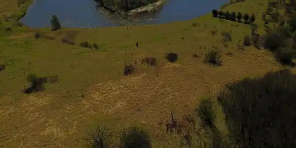 XX Great River Road