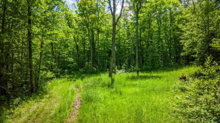 TBD Deervine Trail NE