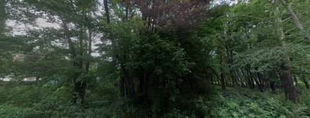 17307 Hiawatha Beach Drive