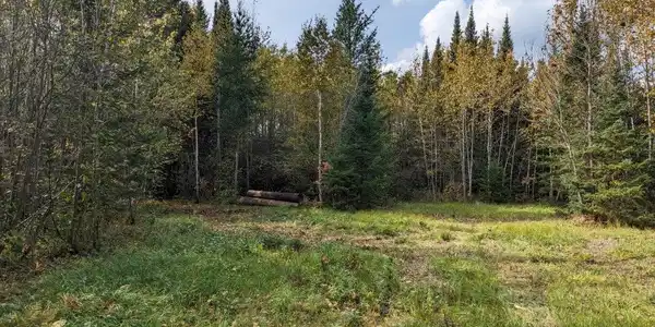 TBD Deer River Line