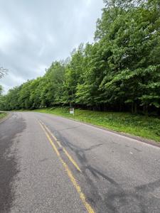 TBD cty hwy D