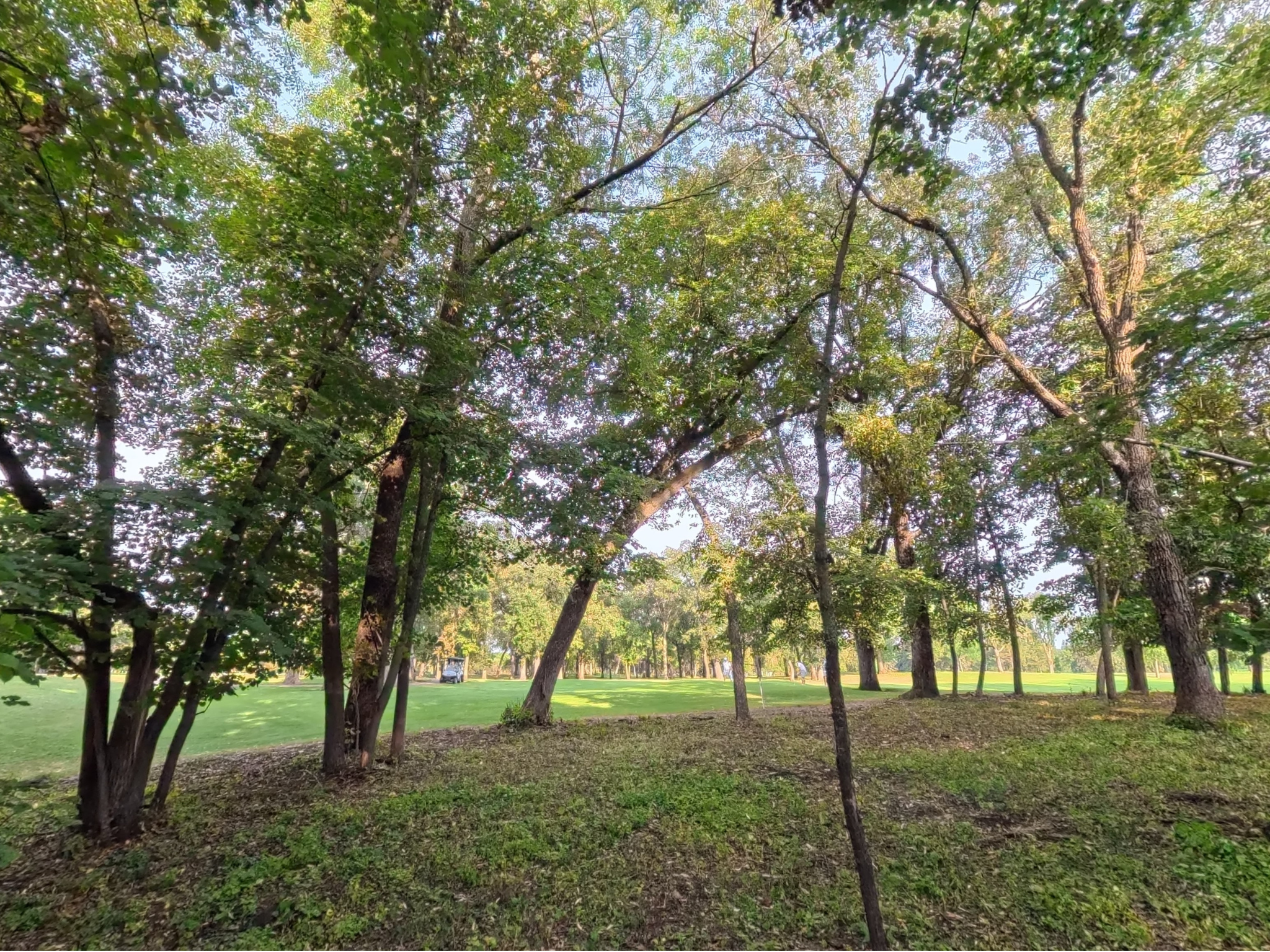 Image 4 Image 4
