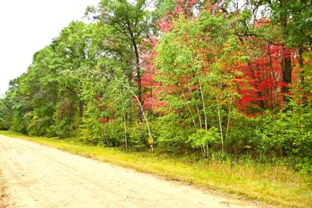 Lot 21 Block 2 Olaf Trail