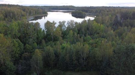 Parcel B E Gunn Lake Trail