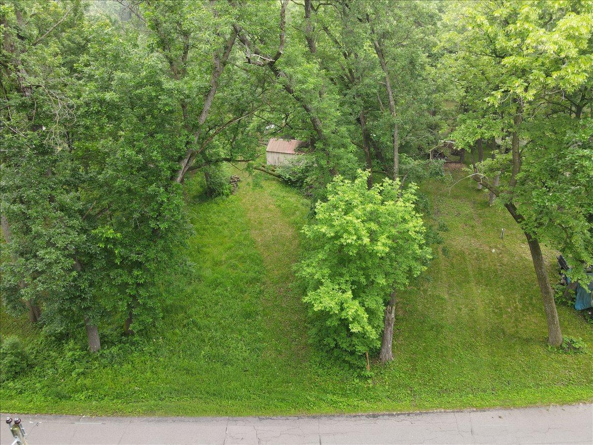 Image 4 Image 4