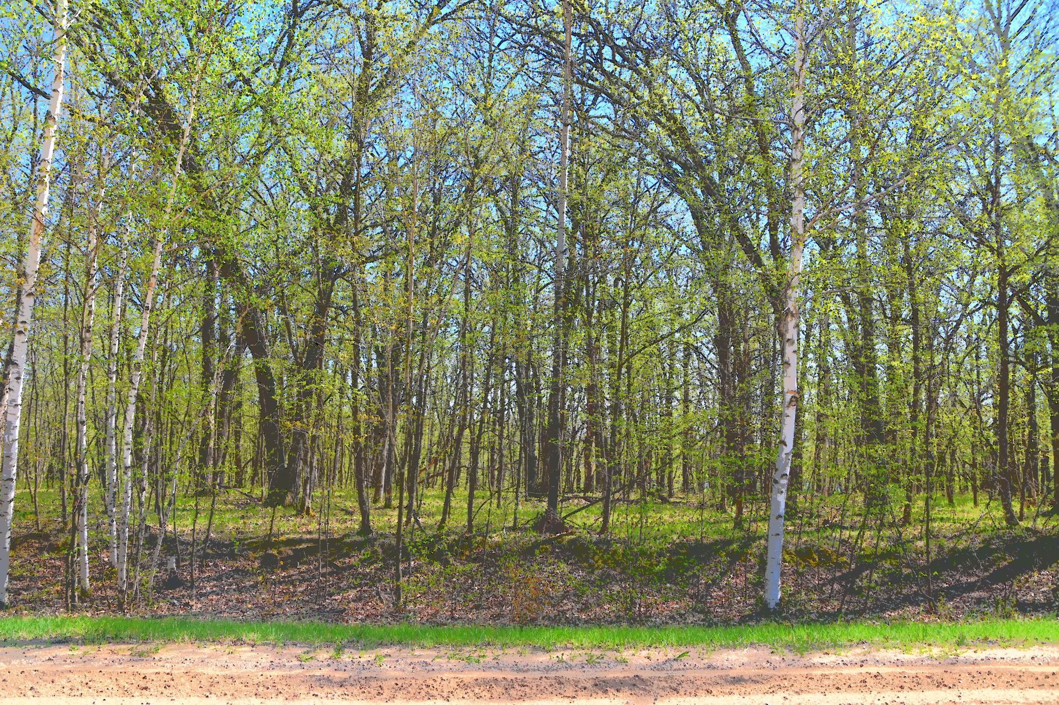 Image 2 Image 2