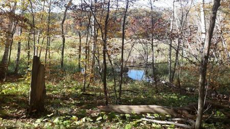 Lot 17 Pine Island Pt Dr
