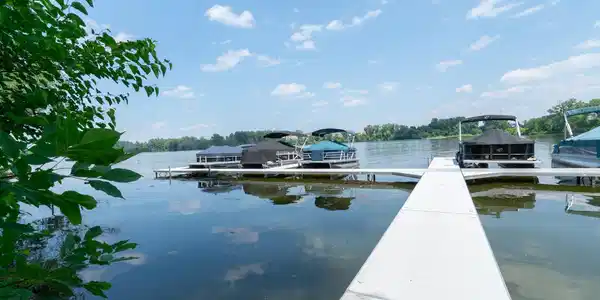 1136 Chelsea Court