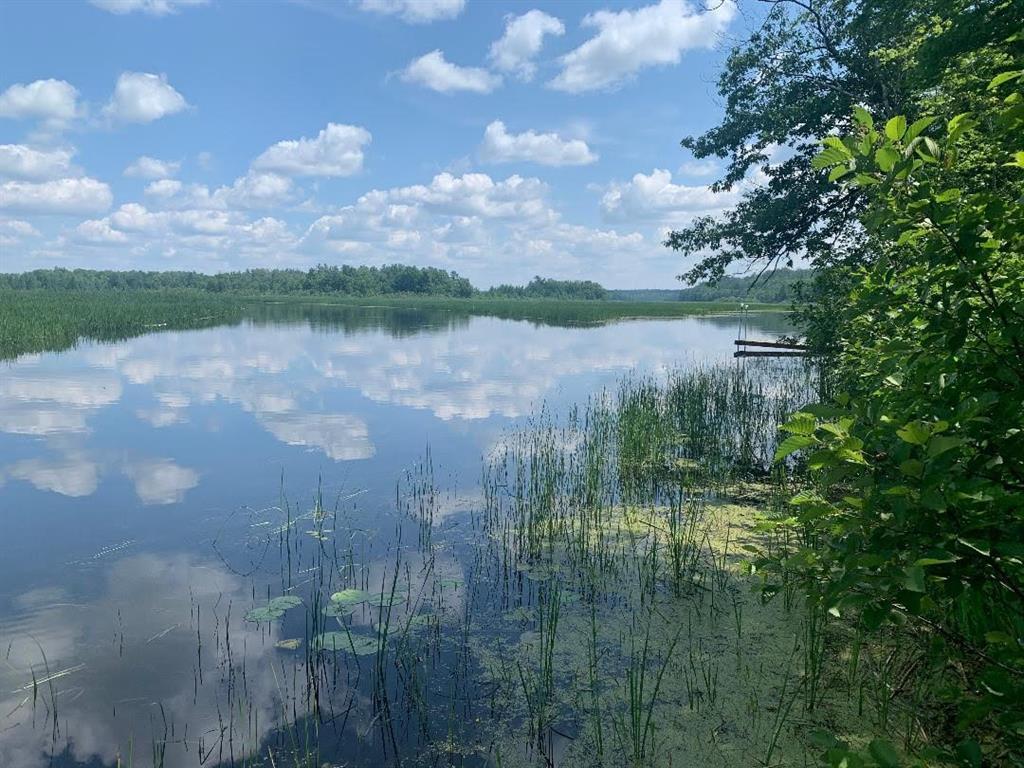 Image 1 Image 1