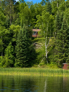 37800 Grave Lake Forest Road