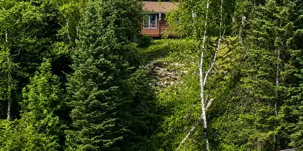 37800 Grave Lake Forest Road